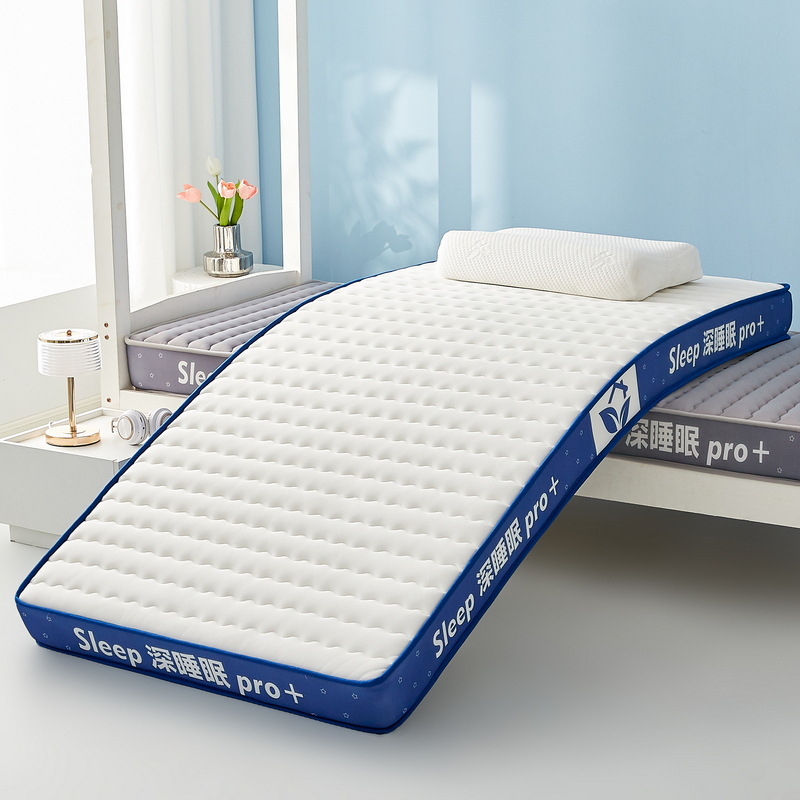 Mattress Topper Dorm Student L - Mattress Pad Topper review and price