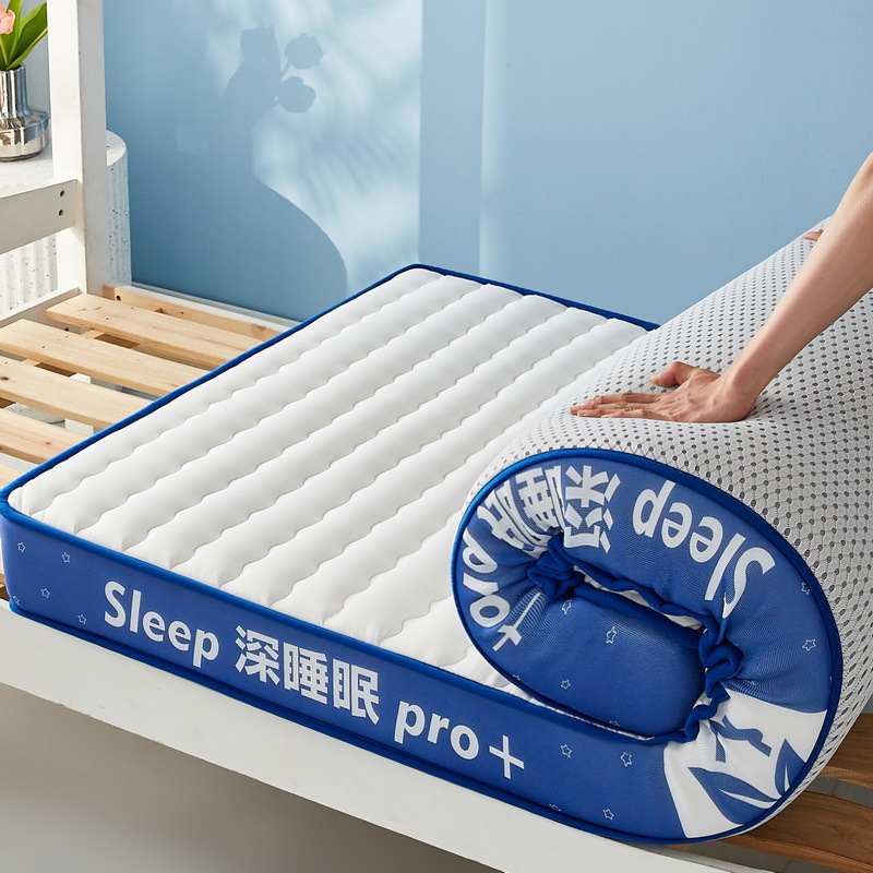 Mattress Topper Dorm Student L - Mattress Pad Topper review and price
